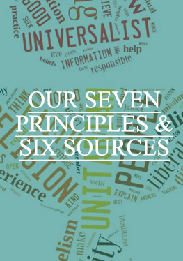 Our Seven Principles