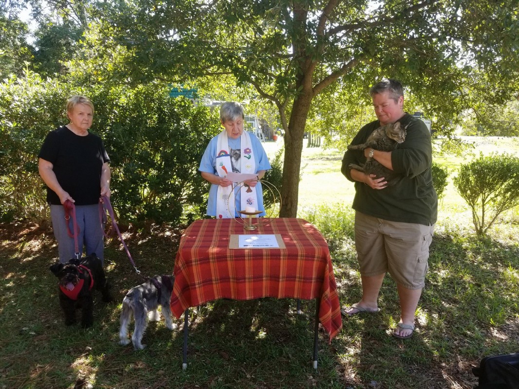 Rev. Linda Jordan-Blessing of the Animals